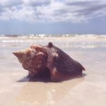 99re14这里只有精品热 49k4d9z9