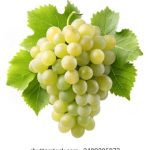 99在线热只有精品6 5kjye