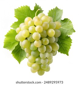 99在线热只有精品6 99在线热只有精品6