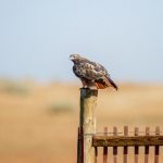 午夜神器18以下不能进免费版 8r5e8l5p