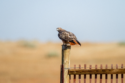 午夜神器18以下不能进免费版 午夜神器18以下不能进免费版