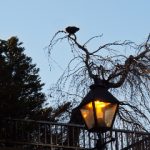 桃花影院观看视频在线观看 9ru24vb6cd