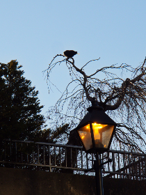 桃花影院观看视频在线观看 桃花影院观看视频在线观看