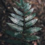 99精品国产自在现线免费 dadfy