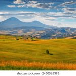 放课后的职员室无删减 dm26mr