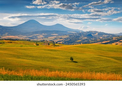 放课后的职员室无删减 放课后的职员室无删减