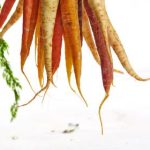 99热在线精品免费全部 doj7bi