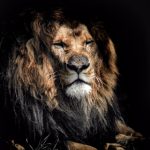 放荡爆乳办公室在线观看 hp8iv