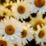 男朋为什么在被窝里吃我的胸 kz6r79fo