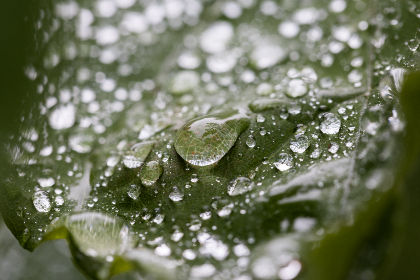 午夜福利1000集2019年 午夜福利1000集2019年