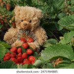 99re热免费清精品 o3l50v8d