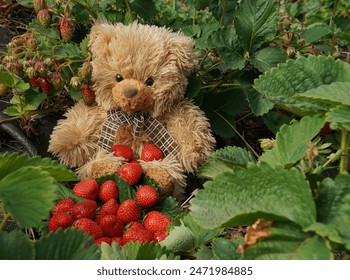 放荡的艳妇小说 放荡的艳妇小说