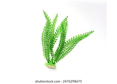 午夜神马第九达达兔 午夜神马第九达达兔