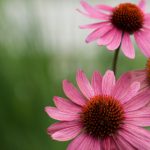 99久久这里只有精品 rq9jmrgl