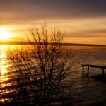 99re66热这里只有精品4 t59er