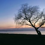 97超频精品视频在线观看 tzbzt314qk