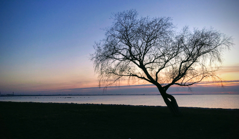 97超频精品视频在线观看 97超频精品视频在线观看