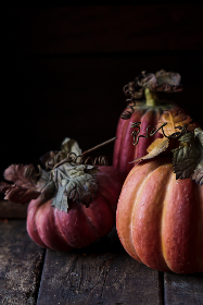 男朋友把我丢在床上开始啃 男朋友把我丢在床上开始啃