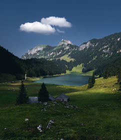 蜜芽高清免费接口 蜜芽高清免费接口