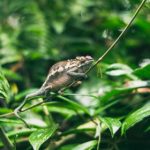 天天拍天天摸天天爽 wya9m1