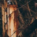 天天嚕2017最新视频免费 wycdvou