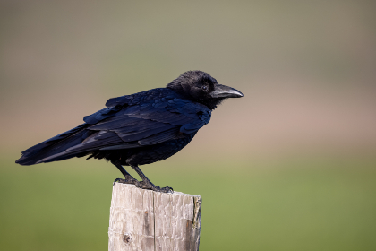 主角杨晓芬小说免费阅读 主角杨晓芬小说免费阅读
