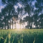 午夜福利1000集在线观看 xjahmhi