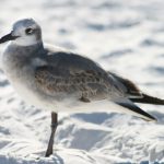 99精品热在线观看视频 y3m5g