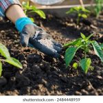 99re热这里只有精品3 zqx9keoqvo