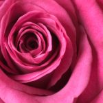 不太灵免费影视站:畅享海量电影与电视剧的最佳选择 3u37s7lxm