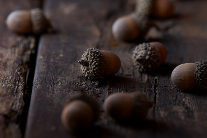 免费动漫在线观看网站大全高清:畅享无广告高清动漫的最佳平台推荐 免费动漫在线观看网站大全高清:畅享无广告高清动漫的最佳平台推荐