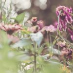 免费下载黄油应用:安卓用户的最佳选择 azt0vgi