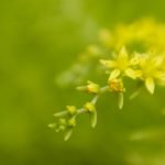 免费免费扑克游戏大全:畅玩各种扑克游戏,尽享无限乐趣与刺激体验! u3kwd